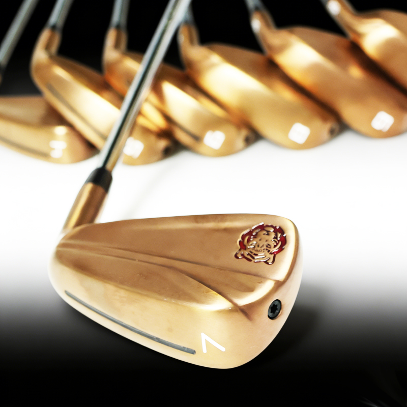 Juego de Hierros de Golf para  - Golf Club Iron Set reseña y precio